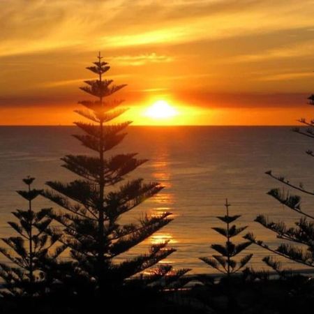 Acacia Holiday Or Business Stay - Quiet Location Perth Bagian luar foto
