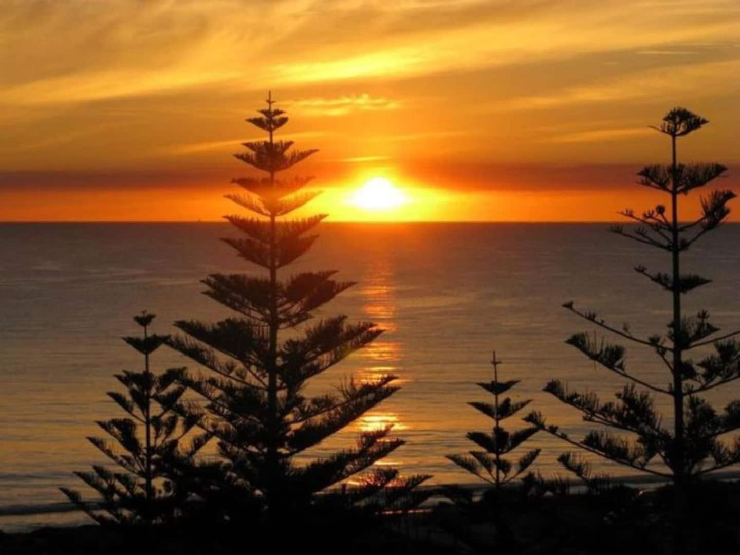 Acacia Holiday Or Business Stay - Quiet Location Perth Bagian luar foto